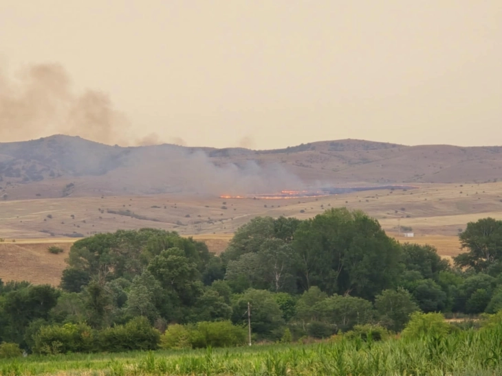 Пожар во атарот на село Уланци, гори сува трева и жито