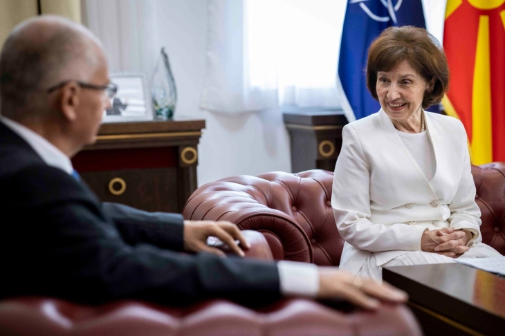President Siljanovska Davkova meets Slovak Ambassador Markus