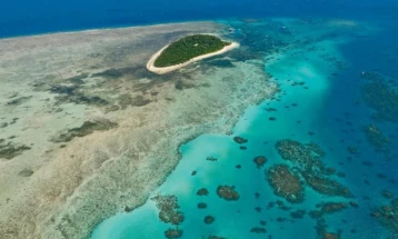 УНЕСКО: Австралија да преземе итни мерки за заштита на Големиот корален гребен
