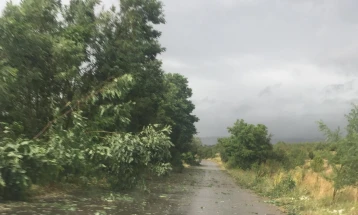 Поплавени патишта во Крива Паланка од Осички мост до Техички преглед и кај село Станци
