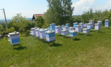 Турската агенција за соработка и координација - ТИКА ќе додели пчеларска опрема на 30 семејства