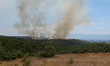 ЦУК: Пожарот кај Василево се шири кон селата Сушево и Злеово
