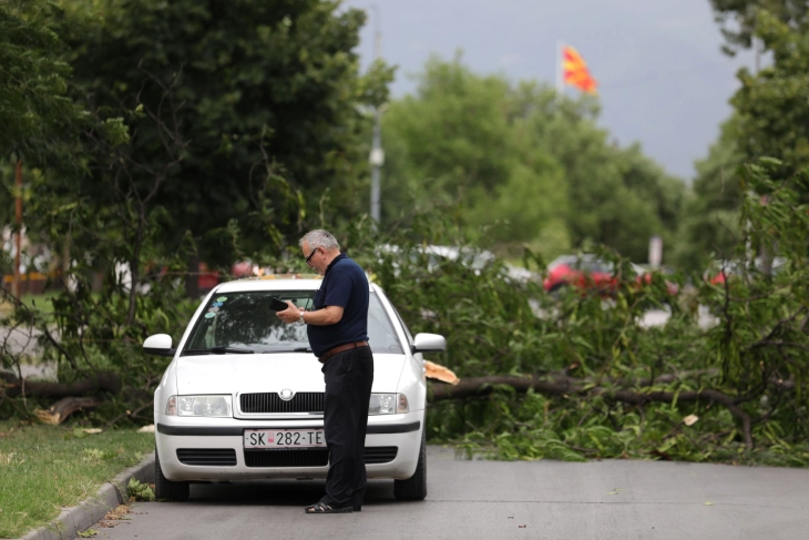 QMK informoi për dëmet e shkaktuara nga stuhia që goditi Shkupin pasditen e sotme - dru të rënë, automjete të dëmtuara dhe çati, kabllo të shkëputura nga shtyllat elektrike