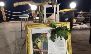 Казна од 20.000 евра за сопственик на два папагали, бидејќи им ги пресекол крилата за да се сликаат со туристи на Халкидики