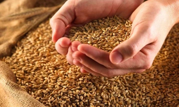 Tripunovski: Commodity Reserves Agency to procure 15,000 tons of wheat exclusively from Macedonian production