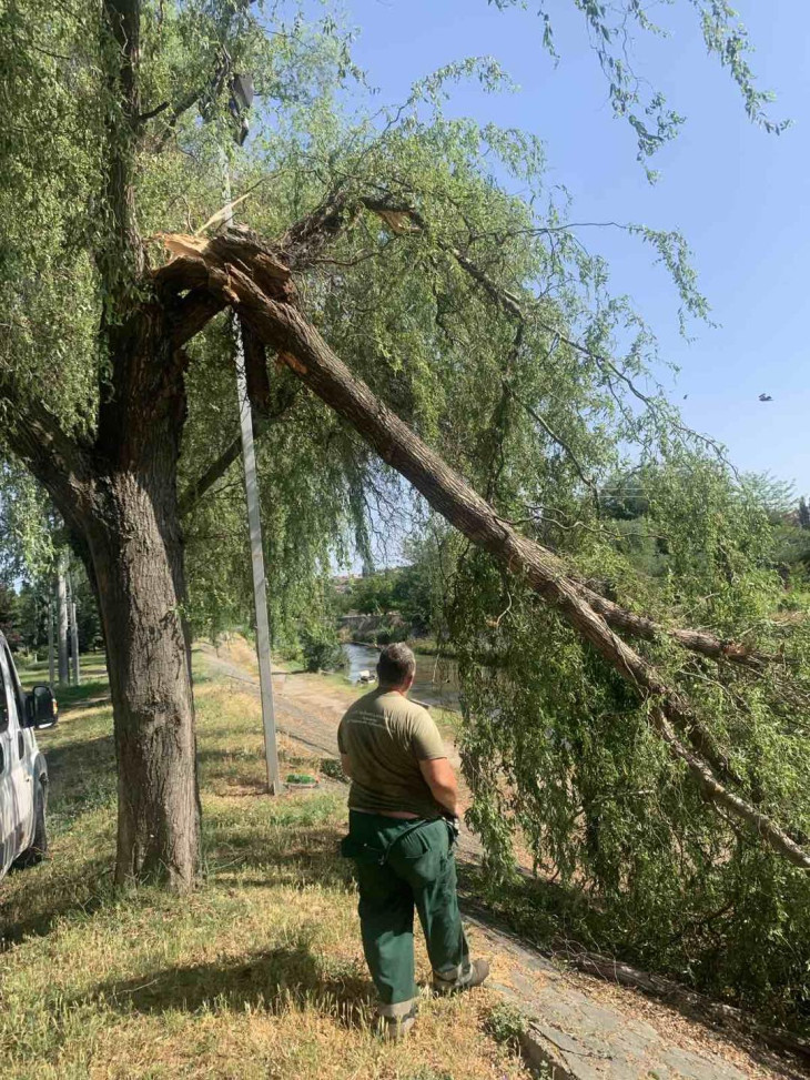 Кумановци поднеле околу сто барања за надоместок на штета предизвикана ...