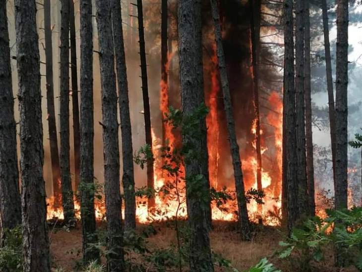 ЦУК: Сите 18 пожари на отворено се изгаснати и од нив активни утрово нема