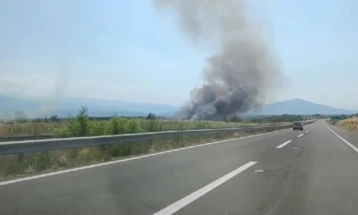Пожар на ридот меѓу Горно Коњари и Миладиновци, се гасне повеќе од еден час