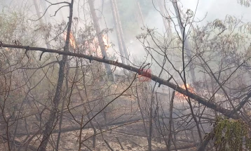 Голем шумски пожар во Струшко, во гаснењето вклучен хеликоптер на МВР