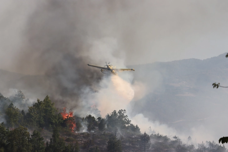 ЕУ испраќа авиони за помош во гаснењето на шумските пожари во Албанија 