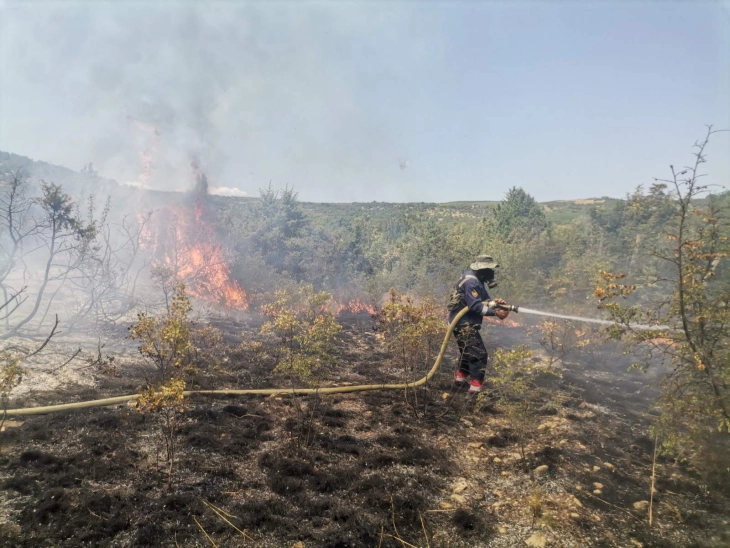 Апел до жители од неколку села да ги напуштат домовите поради опасност од ширење на пожарот во Неготинско