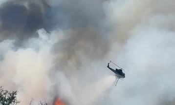 Пожарот во неготинско активен, се очекува да интервенира армискиот хеликоптер