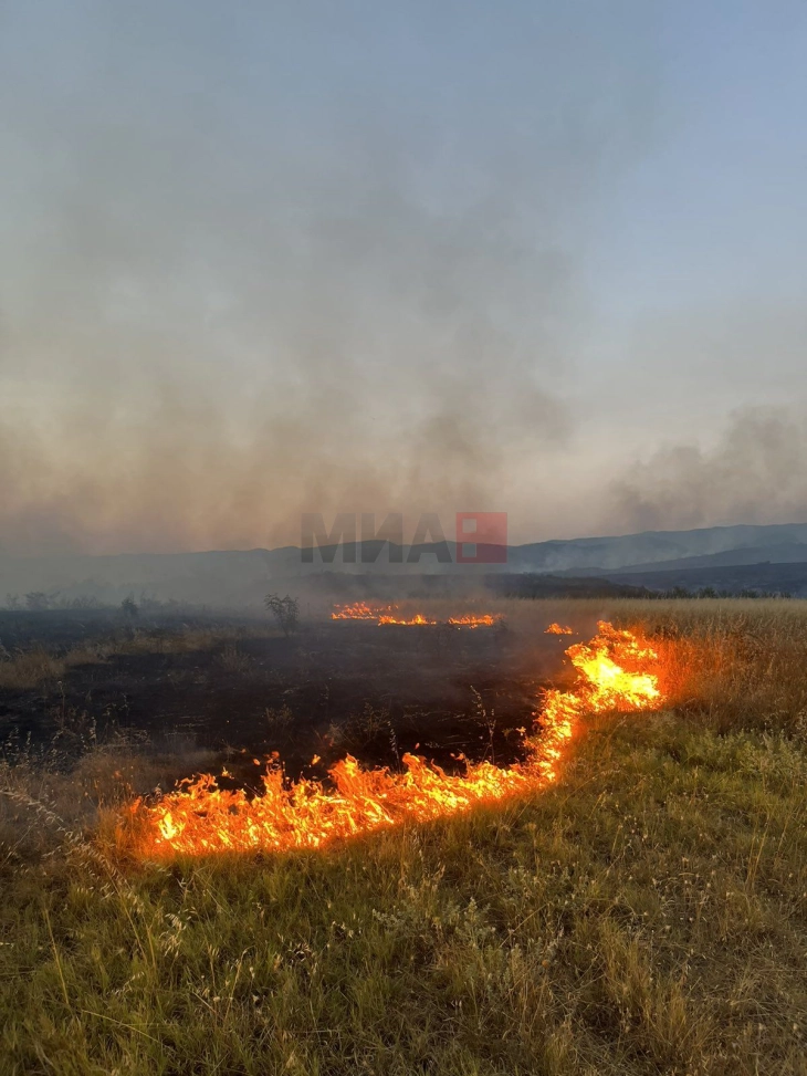 Армиски хеликоптер се вклучи во гаснењето на пожарот во Неготинско 