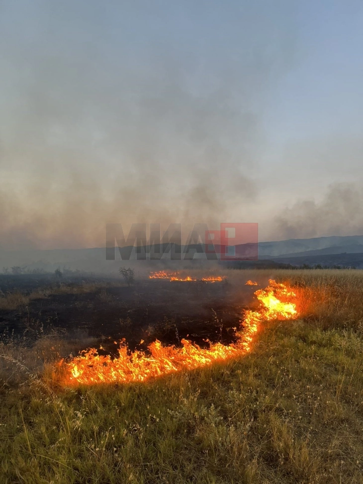 Një helikopter i Armatës u përfshi në shuarjen e zjarrit në Negotinë