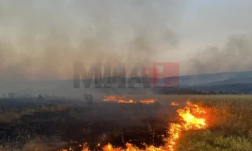 Një helikopter i Armatës u përfshi në shuarjen e zjarrit në Negotinë
