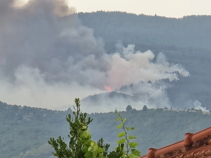 Large wildfire at Ograzhden mountain, close to Bulgaria border