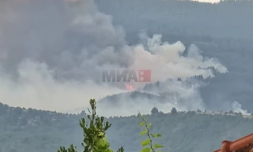 Filloi shuarja e zjarrit të madh në malin Ograzhden pranë kufirit me Bullgarinë
