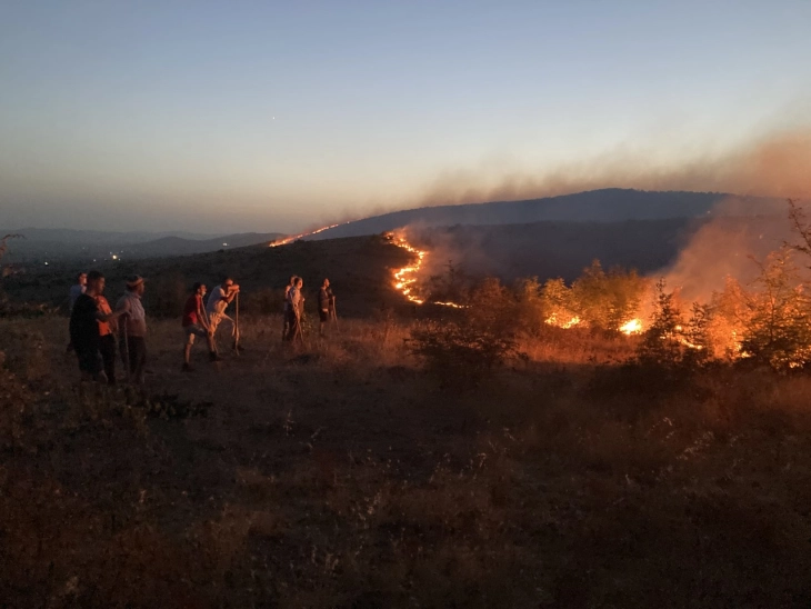 Пожарот кај село Отиштино зафатил и земјоделско земјиште и пчелни семејства
