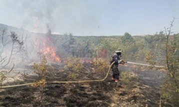 Zjarri në Negotinë në një terren vështirë të arritshëm,apelohet për efikasitet më të madh