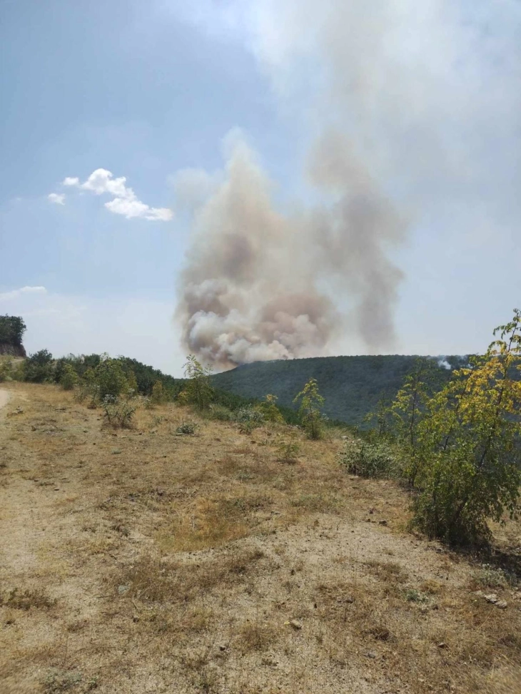 Shuhet nga ajri zjarri në malin Serta në rajonin e Shtipit