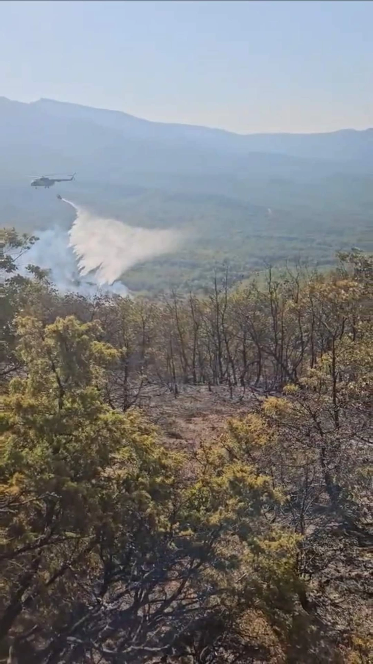 Кризен штаб на Неготино бара вклучување на војници на АРМ во гаснењето на пожарот на планината Серта