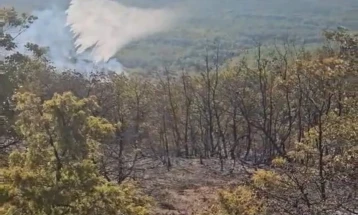 Кризен штаб на Неготино бара вклучување на војници на АРМ во гаснењето на пожарот на планината Серта
