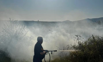 Zjarr në katër vende në rrafshnaltën Lubash natën e kaluar, është shkaktuar me siguri nga faktori njeri