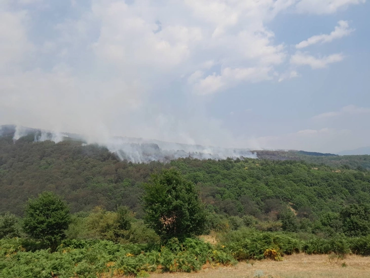 Активни пожари во неколку региони од земјава, само во јули 173 пожари од пошироки размери