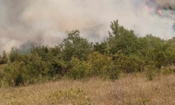 Пожарот на планината Серта се гаси од земја и воздух
