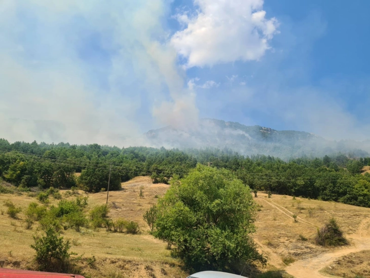Разгорен пожарот меѓу селата Дреново и Долно Јаболчиште, нема опасност за куќите