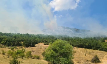 Разгорен пожарот меѓу селата Дреново и Долно Јаболчиште, нема опасност за куќите