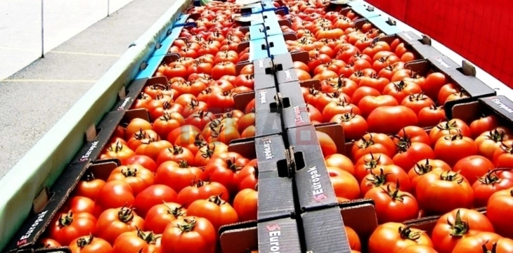 Здравствените придобивки од доматот