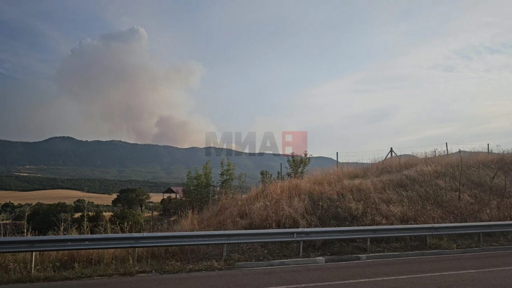 Штипските пожарникари интервенираат на пожарите на планината Серта
