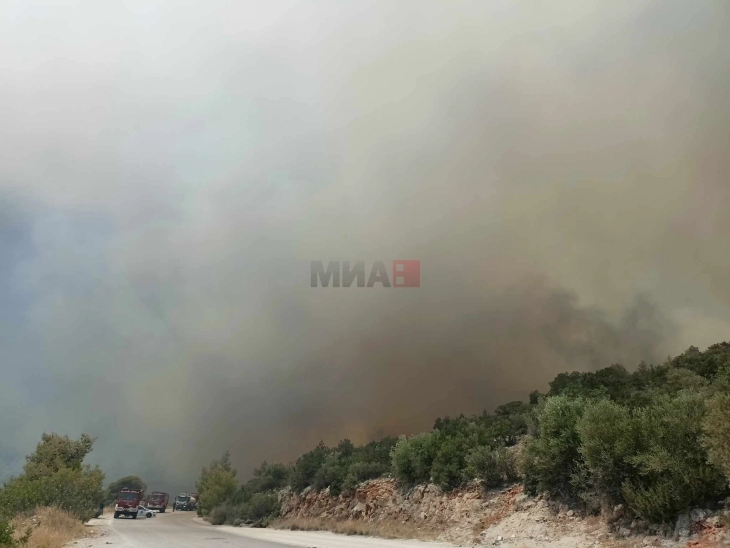 Кикиљас: Поради високите температури, сушата и силниот ветер голема е опасноста од пожари во Грција