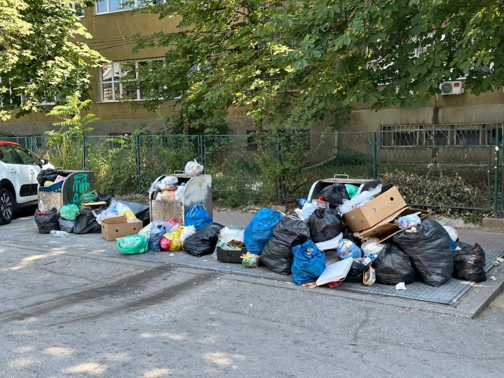 Герасимовски до Град Скопје: Преполните контејнери се потенцијална зараза, чистете ги навреме