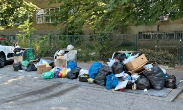 Герасимовски до Град Скопје: Преполните контејнери се потенцијална зараза, чистете ги навреме