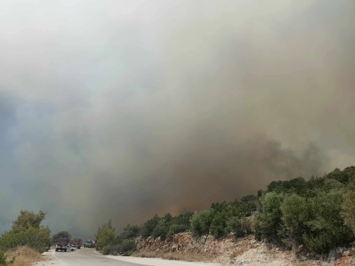 Kikilas: Për shkak të temperaturave të larta, thatësirës dhe erës së fuqishme i madh është rreziku nga zjarret në Greqi