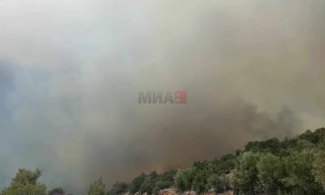 Поради пожар затворен патот Неготино – Штип кај Пепелиште