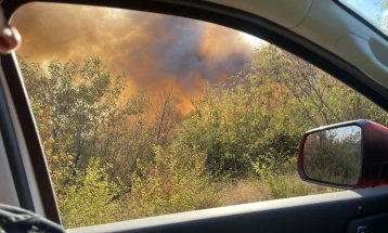 Ангелов: Најсериозен е пожарот на Серта, шумскиот пожар над Радовиш влезе во борова шума