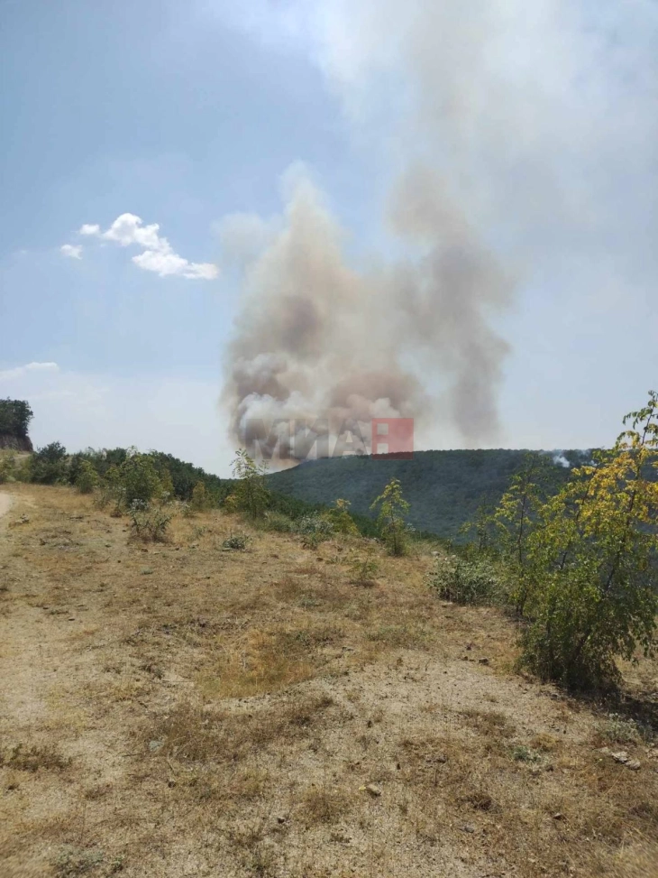 ЦУК: Разгорен пожарот во реонот Селце - Драгоево, пожарникарите повлечени зашто се слуша пукање на муниција