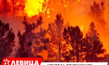 Левица: Цехот за децениската негрижа во противпожарната заштита го плаќаат македонските шуми и планини