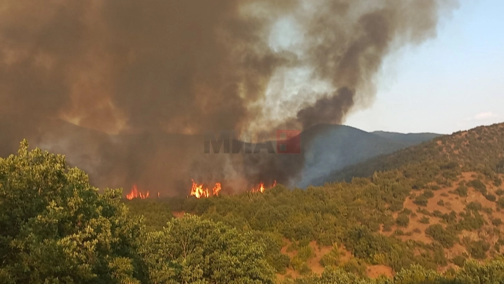 Кризниот штаб на Општина Штип утре ќе заседава поради состојбата со пожарите на Серта