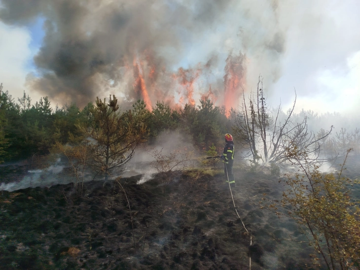 Dy zjarrfikës janë lënduar më lehtë duke e shuar zjarrin mbi Manastir