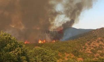 Пожарот на Серта ќе се гасне од воздух и од земја, затворена за сообраќај обиколницата кај Битола поради пожар