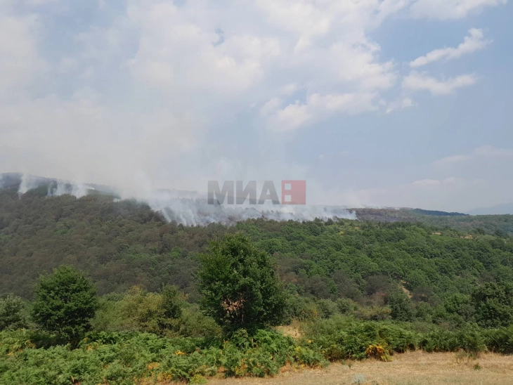 Zjarri i madh në Ograzhden pritet të shuhet sot, mbi Radovishin është vënë nën kontroll