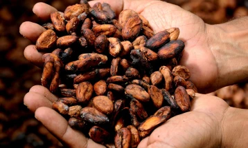 Трговците бележат загуби од најмалку милијарда долари поради доцнење на испораката на какаото