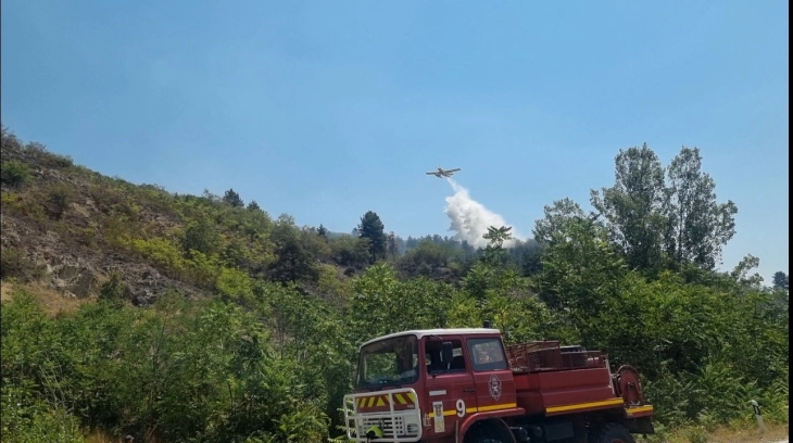 Bitola wildfire under control