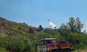 Bitola wildfire under control