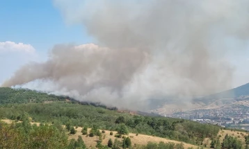 Bitola wildfire re-ignites
