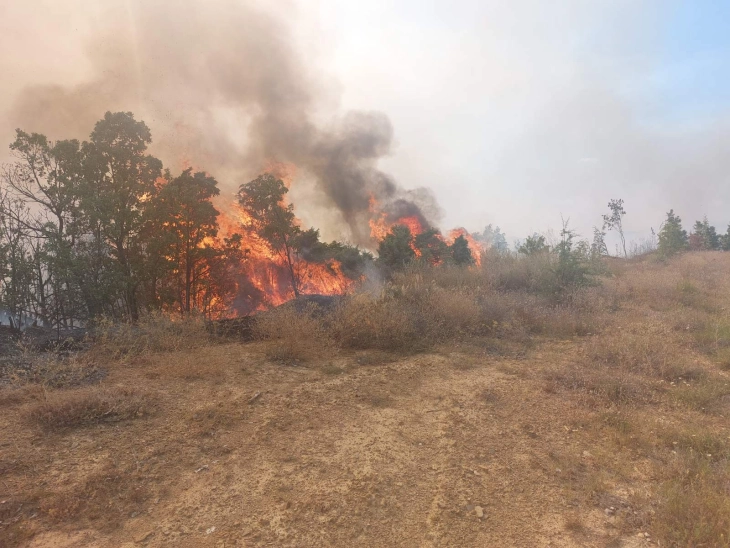 Во штипскиот регион на планината Серта пожарите се гаснат од земја